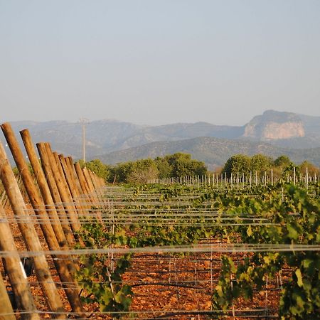 Weingut & Landhotel Can Davero Binissalem Exterior photo