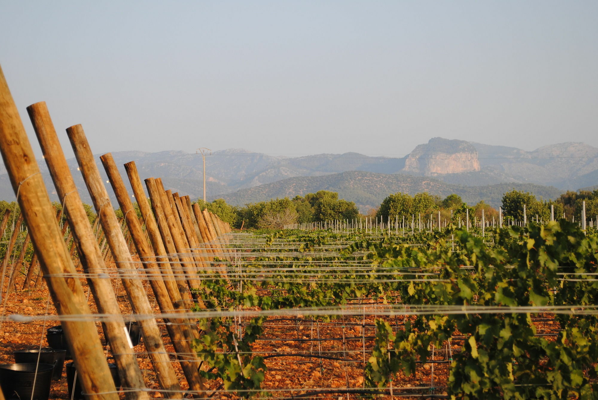 Weingut & Landhotel Can Davero Binissalem Exterior photo